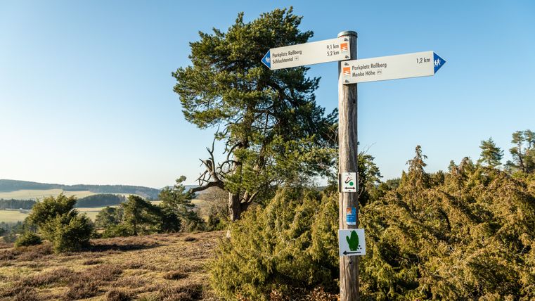 Signpost on the Traumpfad Bergheidenweg in a heathland landscape.