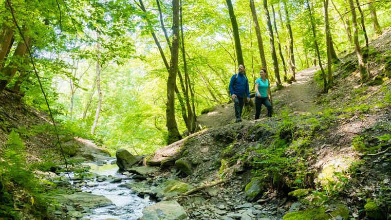 Zwei Wanderer im Wald neben einem Bach.