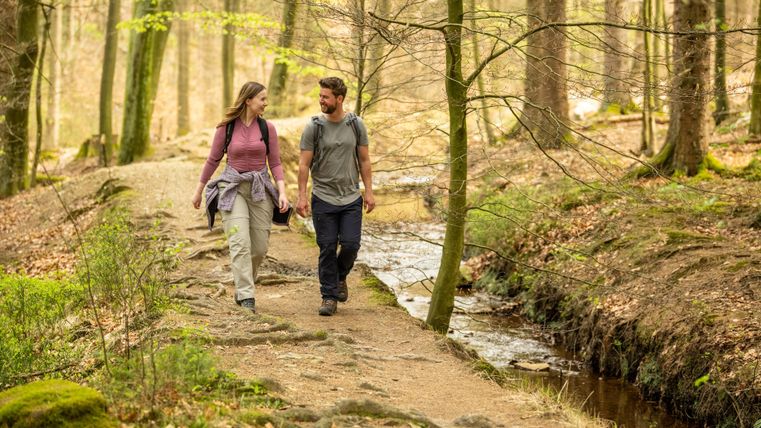 Un couple se promène main dans la main sur un étroit chemin à travers une forêt. En arrière-plan, un petit ruisseau coule entre les arbres.