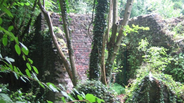 A dilapidated wall, surrounded by dense greenery and trees. Nature has reclaimed the space and is overtaking the ruin.