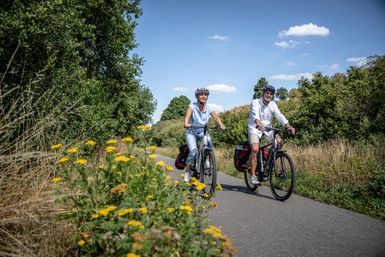 Frau und Mann fahren Fahrrad auf einem Radweg, sie haben Gepäcktaschen dabei