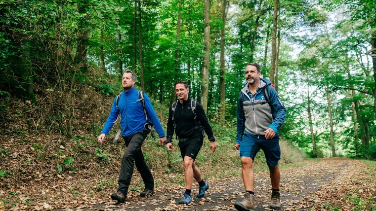 Three men are hiking on a forest path. The surroundings are green and lined with many trees.