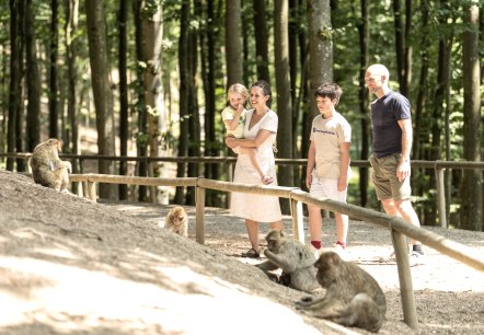 Familienausflug in den Wildpark Daun, © Rheinland-Pfalz Tourismus GmbH, D. Ketz