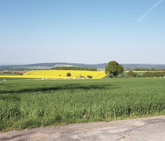 Landschaft um Lückerath, © Nordeifel Tourismus GmbH & Pünderhof