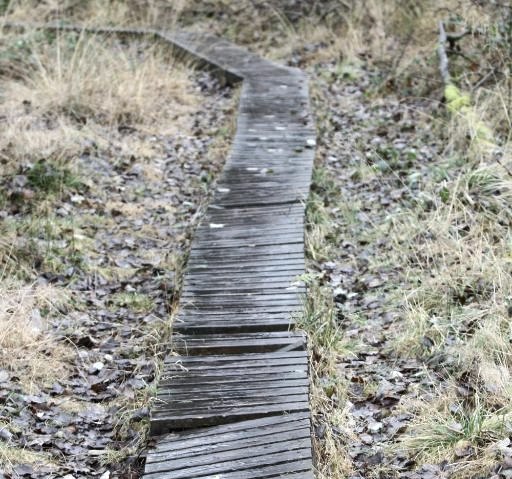 Wanderung Hohes Venn