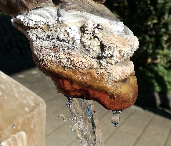 Der Wasserspeier, © Foto & Quelle: Gesundland Vulkaneifel GmbH