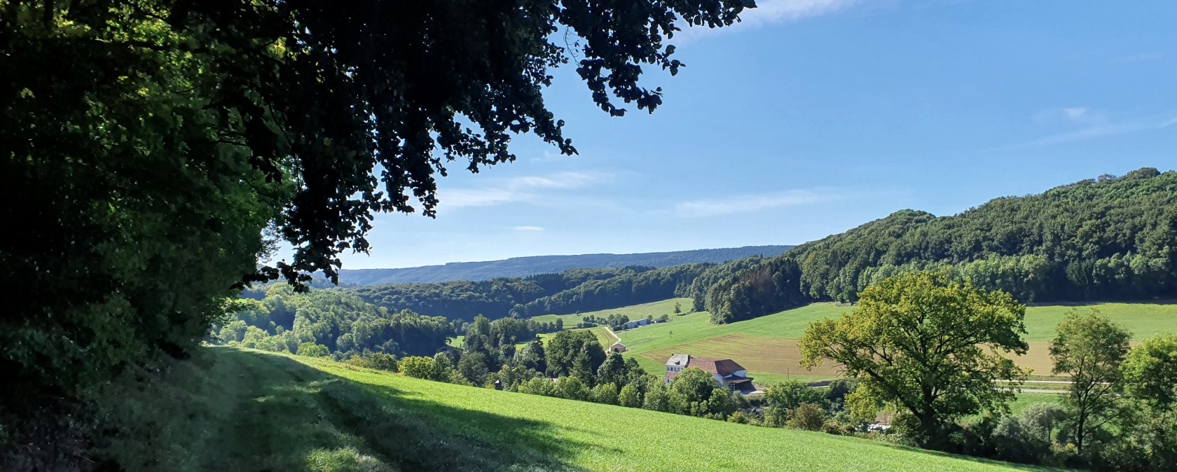 Panoramablick über das Enztal mit grünen Wiesen, Wäldern und einem Bauernhof unter blauem Himmel. Schatten von Bäumen im Vordergrund., © TI BItburger Land - Steffi Wagner