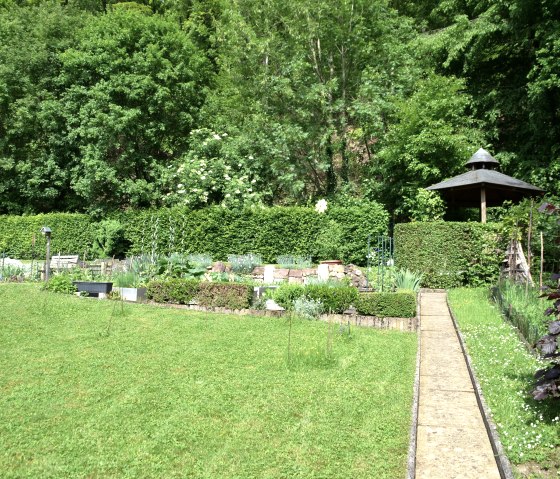 garden 1