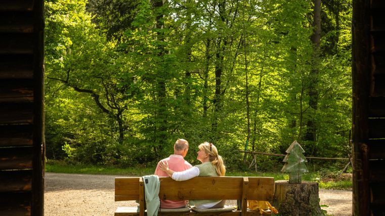 A couple is sitting on a bench in the forest, enjoying nature. Around them are green trees and a quiet path.