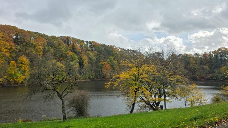 Ein ruhiger See umgeben von buntem Herbstlaub. Der Himmel ist bewölkt und es gibt einige Bäume am Ufer.