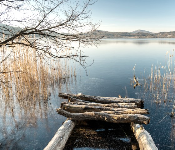 Aussicht am Ufer des Laacher Sees, Wanderweg Pellenzer Seepfad, © Eifel Tourismus GmbH, D. Ketz