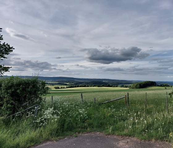 Vue du synclinal calcaire oriental de Büdesheim, © Tourist-Information Prümer Land Elke Dahm