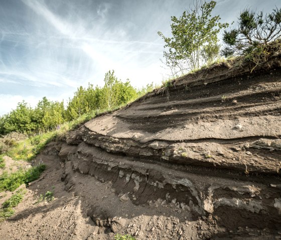 Steffelnkopf, © Eifel Tourismus GmbH, Dominik Ketz