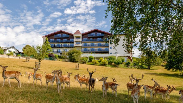 Ansicht Hotel mit Wildpark