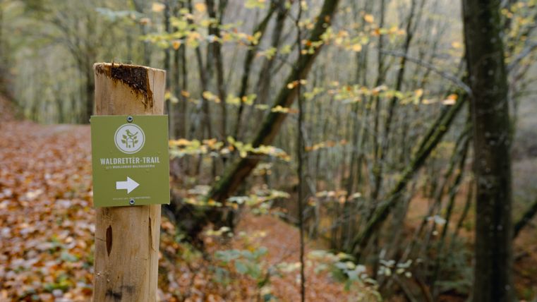 Un panneau indicateur pour le sentier des sauveteurs forestiers dans la forêt automnale.