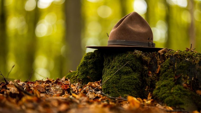 Ein Hut liegt auf einem Moosbewachsenen Baumstumpf im Wald. Der Hintergrund ist unscharf und zeigt grüne Bäume mit herbstlichen Blättern.
