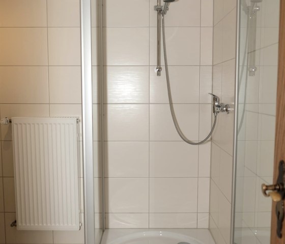 Shower, © Poll