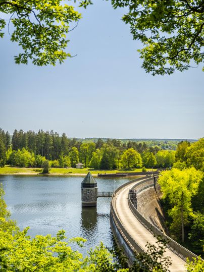 A picturesque bridge crosses a tranquil lake, surrounded by lush greenery. In the background, dense forests stand against a clear blue sky.