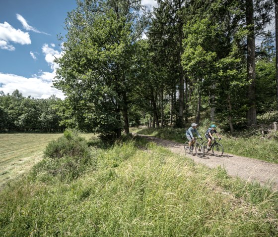 Freifahrt Eifel_Waldpassage Nonnenbach © Eifel Tourismus GmbH, DennisStratmann-04330, © Dennis Stratmann | Eifel Tourismus GmbH