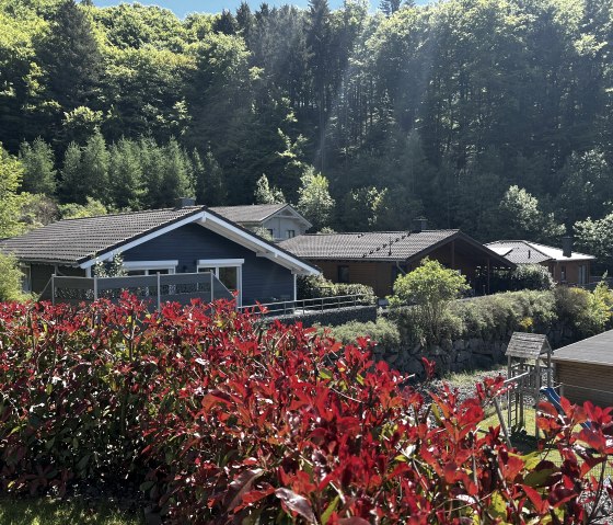 Aussicht Umgebung
