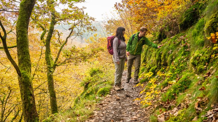 Two hikers on a narrow, wooded path in the fall.