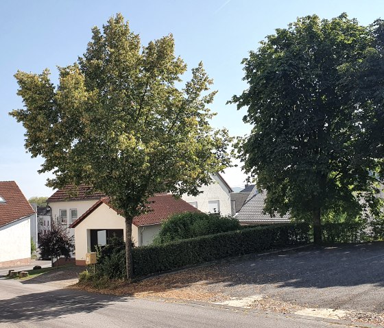 Rue du village de Sülm avec des maisons et des arbres. Le soleil brille, le ciel est bleu. Une vue calme et idyllique du village., © Tourist-Information Bitburger Land