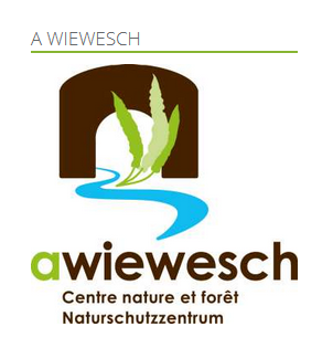A logo of the Nature and Forest Center A Wiewesch. It features water, plants, and a simple representation of an entrance.