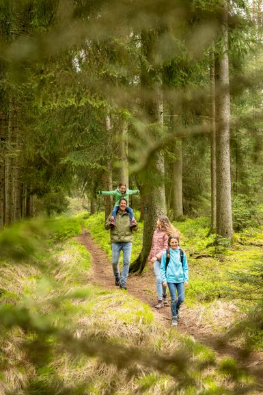 Ein Mann und 3 Kinder wandern durch Wald.
