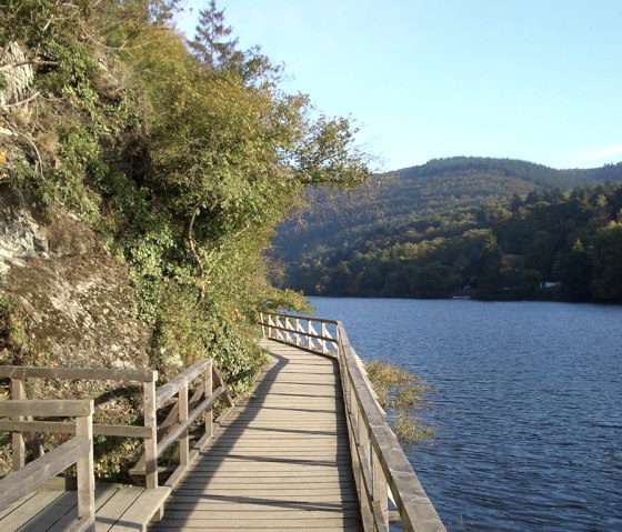 Jungle trail