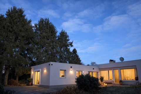 Ein modernes Haus umgeben von hohen Bäumen bei Dämmerungslicht. Die Fenster sind hell erleuchtet und schaffen eine einladende Atmosphäre.