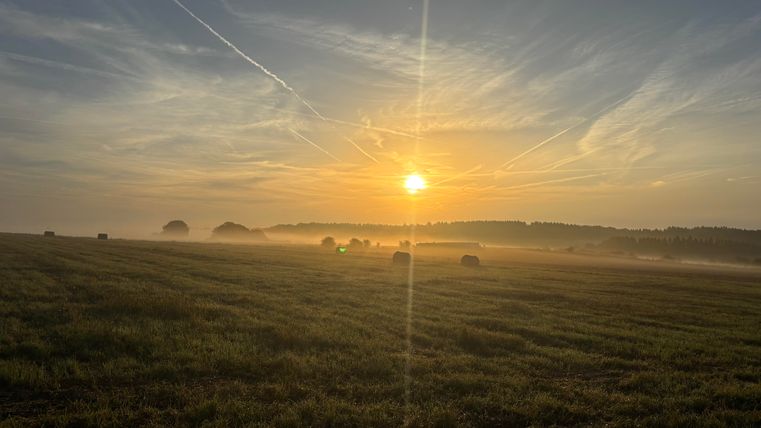 A beautiful sunrise over a vast field.
Gentle wisps of fog and the rising sun create a calming atmosphere.  