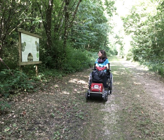 Eine Frau mit Swiss-Trac fährt auf einem Waldweg entlang eines Lehrpfads. Links steht ein Informationsschild, umgeben von dichtem Grün., © TI Bitburger Land