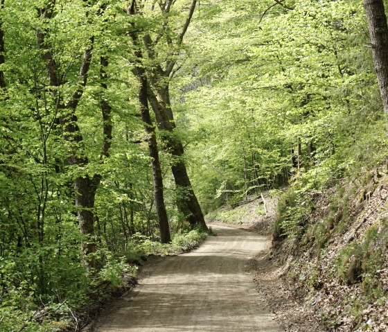 Dans la vallée verte, © Monschau Touristik