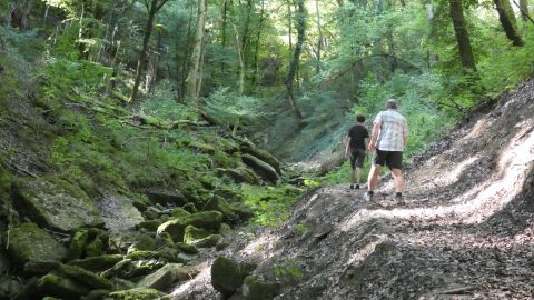 Twee personen wandelen op een pad door een groene bos. De omgeving wordt gekenmerkt door bomen en met mos bedekte stenen.