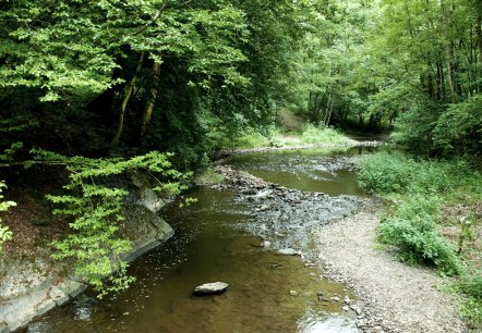 Eifel wandelroute: Het Lieserpfad, © GesundLand Vulkaneifel / D. Ketz