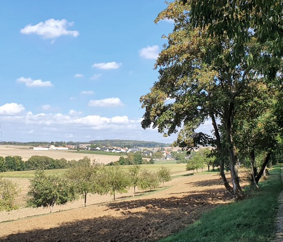 Uitzicht op velden en een dorp aan de horizon, omzoomd met bomen en een landweggetje, onder een strakblauwe hemel., © TI Bitburger Land - Steffi Wagner