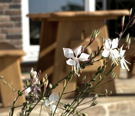 Blume Terasse