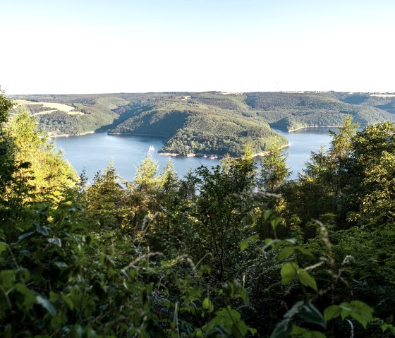 Eifelblick Hirschley au Kermeter sauvage, © Tourismus NRW e.V.