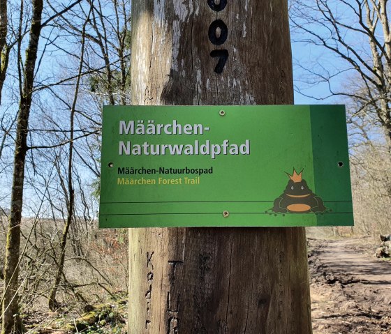 Mäarchen Naturwaldpfad, © GesundLand Vulkaneifel