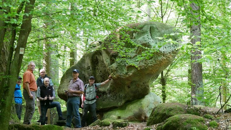 Groupe de personnes devant un gros rocher moussu dans la forêt.