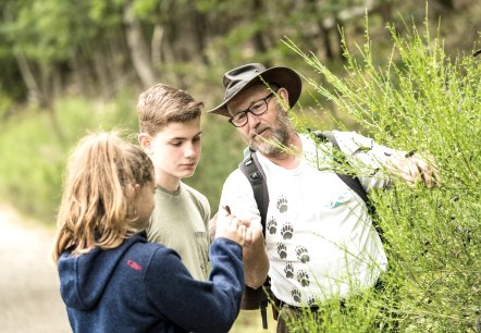 Familietour met bosgids