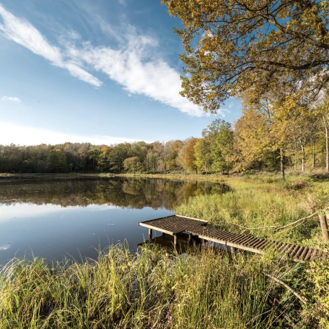 Vulkamaar Trail: Windsborn kratermeer, © Eifel Tourismus GmbH - D. Ketz