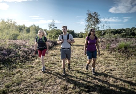 Drover Heath, © Dennis Stratmann | Kreis Düren