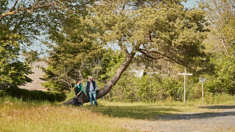 Zwei Personen legen eine Rast auf einem Baumstamm ein 