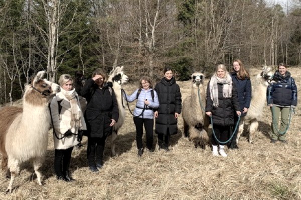 Hen party met lama's: herfstwandeling
