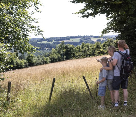 Heggenpad Eicherscheid, © Eifel Tourismus GmbH, Tobias Vollmer