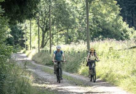 Vorschaubild Weg im Prethbachtal - Eifel Tourismus GmbH, Dennis Stratmann, © Eifel Tourismus GmbH, Dennis Stratmann
