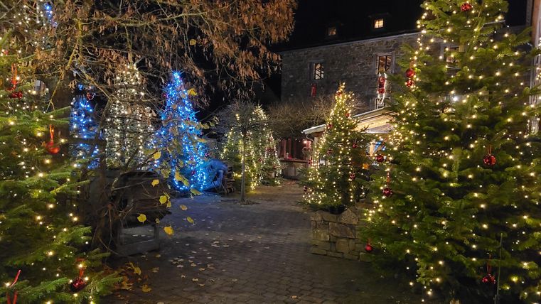 Un chemin illuminé de manière festive avec des sapins de Noël verts. Les lumières scintillent dans l'obscurité et créent une atmosphère chaleureuse.