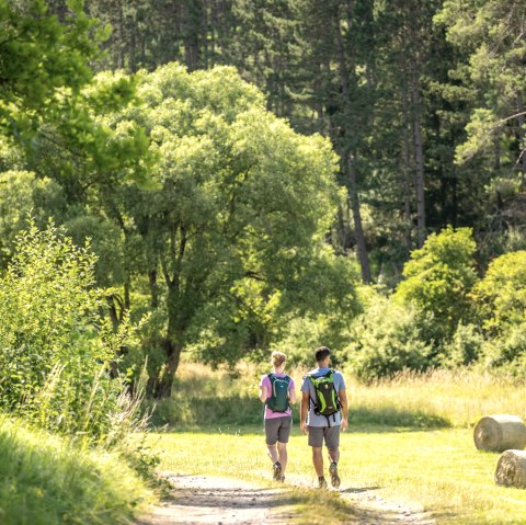 Begeleide wandeling, © Eifel Tourismus GmbH - Dominik Ketz