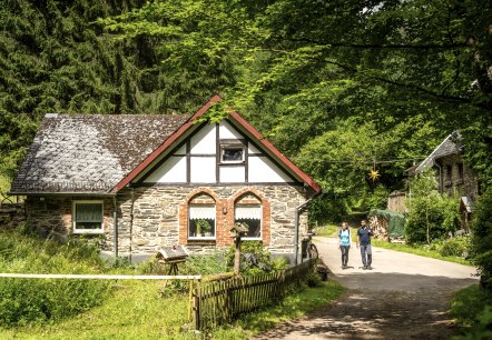Oliemolen in Tiefenbachtal, © Eifel Tourismus GmbH, Dominik Ketz